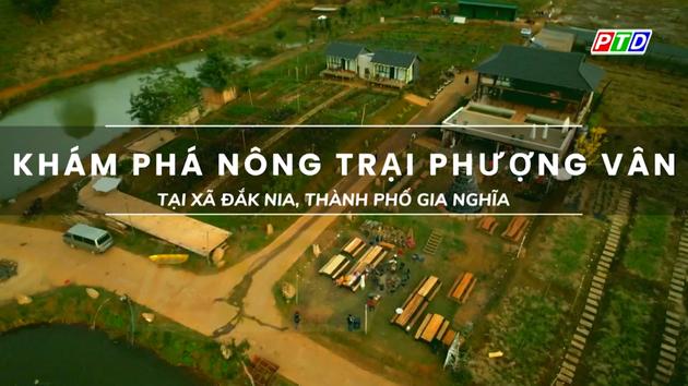 Khám phá nông trại Phượng Vân tại xã Đắk Nia, TP Gia Nghĩa