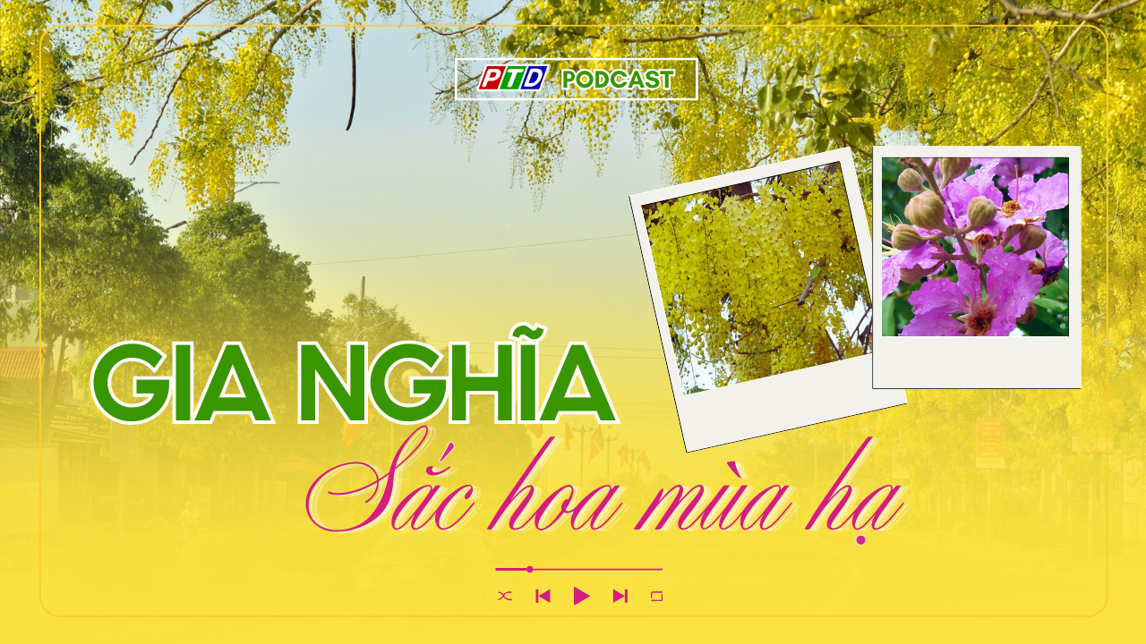 Gia Nghĩa - Sắc hoa mùa hạ
