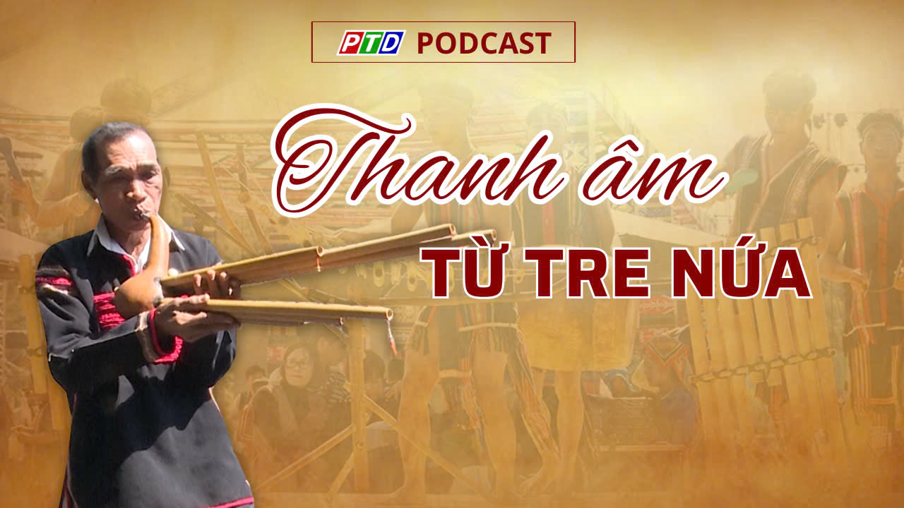 Thanh âm từ tre nứa