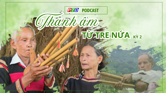 Thanh âm từ tre nứa - Kỳ 2