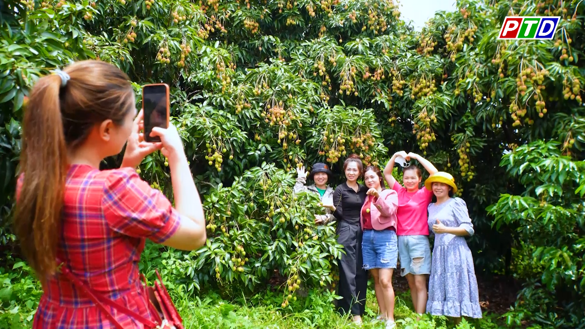 Nông sản kết nối du lịch trải nghiệm