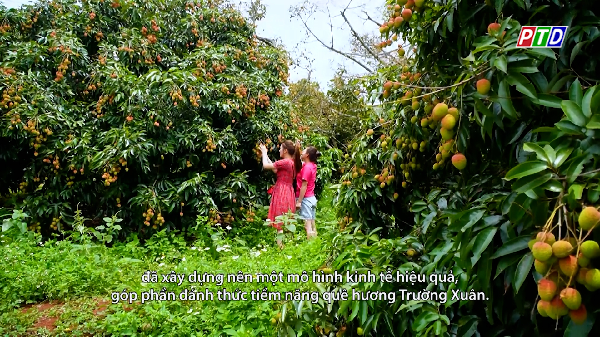 Chương trình Mnông ngày 18/5/2025
